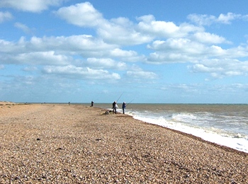 Beach Fishing