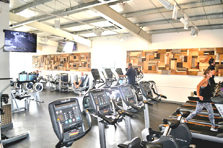 Fitness Suite