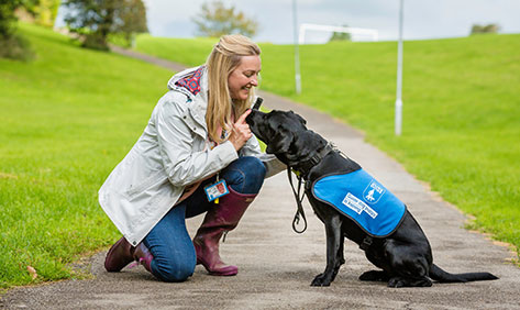 Volunteer Puppy walker