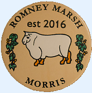 Romney Marsh Morris