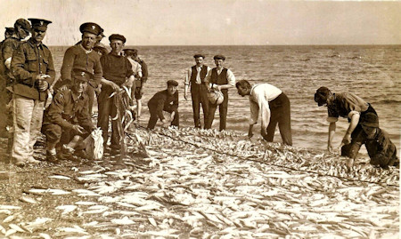 Mackerel Fishing at Dungeness c1912