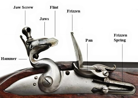 Parts of a Musket