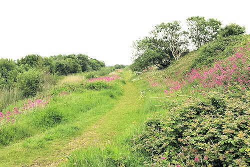 Walking north with the lakes on the left