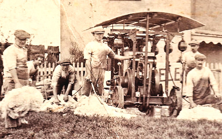 Sheep Shearing in the Past