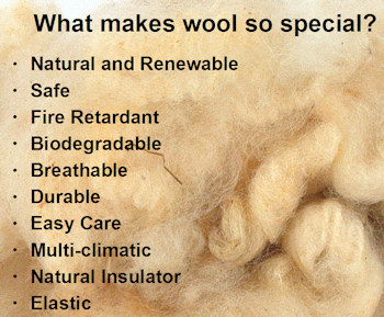 What Makes Wool So Special?