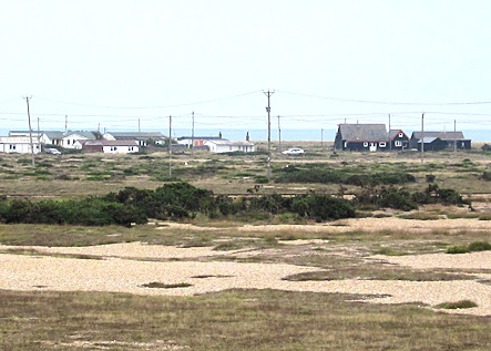 The Landscape of Dungeness